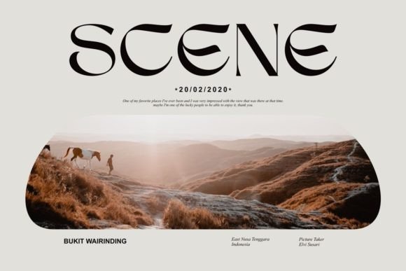 Discovering Sego: A Serif Font That Breaks the Mold